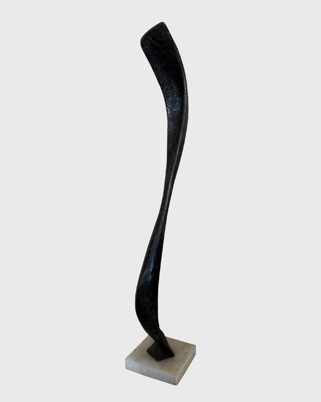 Echo, Neil Goodman