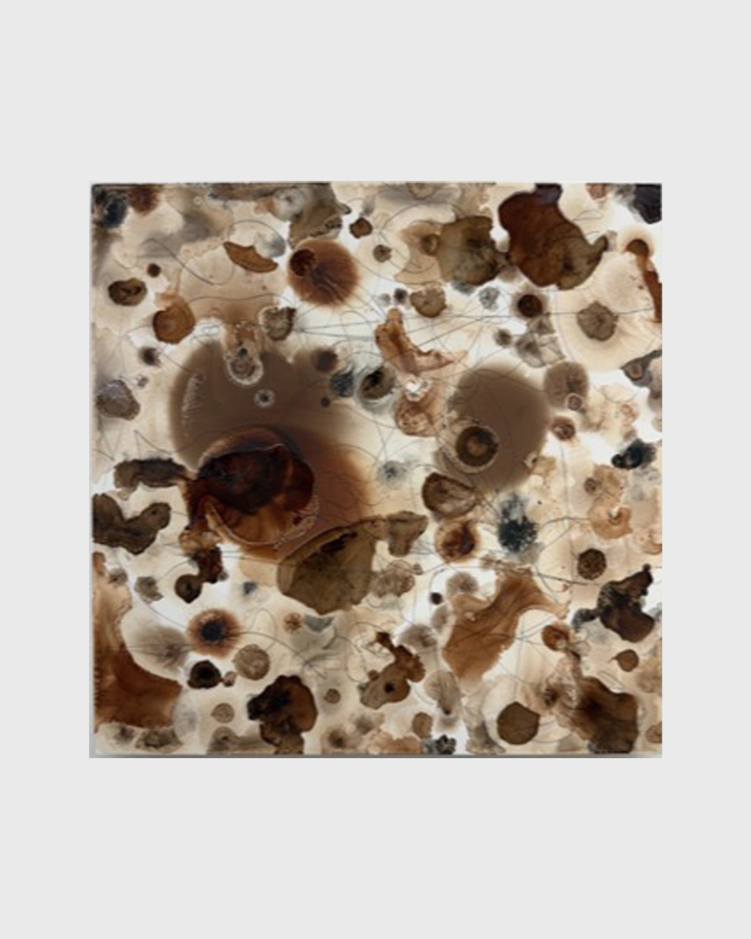 Within and outwardly, Kellie Romany